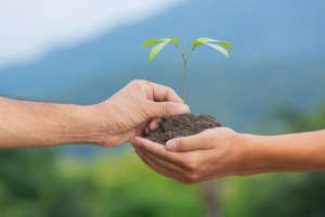 Fıtır Sadakası Nedir ve Ne Zaman Verilir?