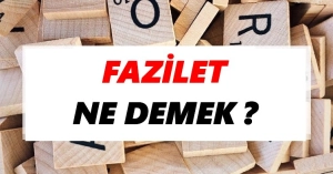 Fazilet Ne Demek