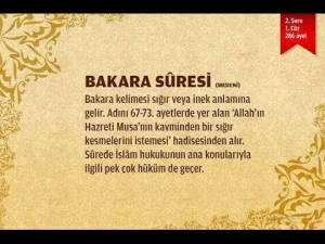 Bakara Suresi