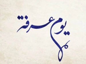 Siyer Ne Demektir?